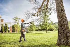 Best Commercial Tree Services  in Fruitland Park, FL